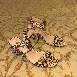Steve Madden Nolita Leopard Print Women's Sandals